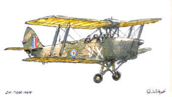 Tiger Moth